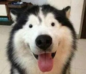 男朋友长得胖怎么办但对我很好,男朋友长得丑怎么办图文