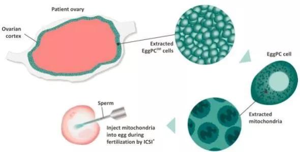 在面对不孕不育这事如何安慰,接受不孕的事实