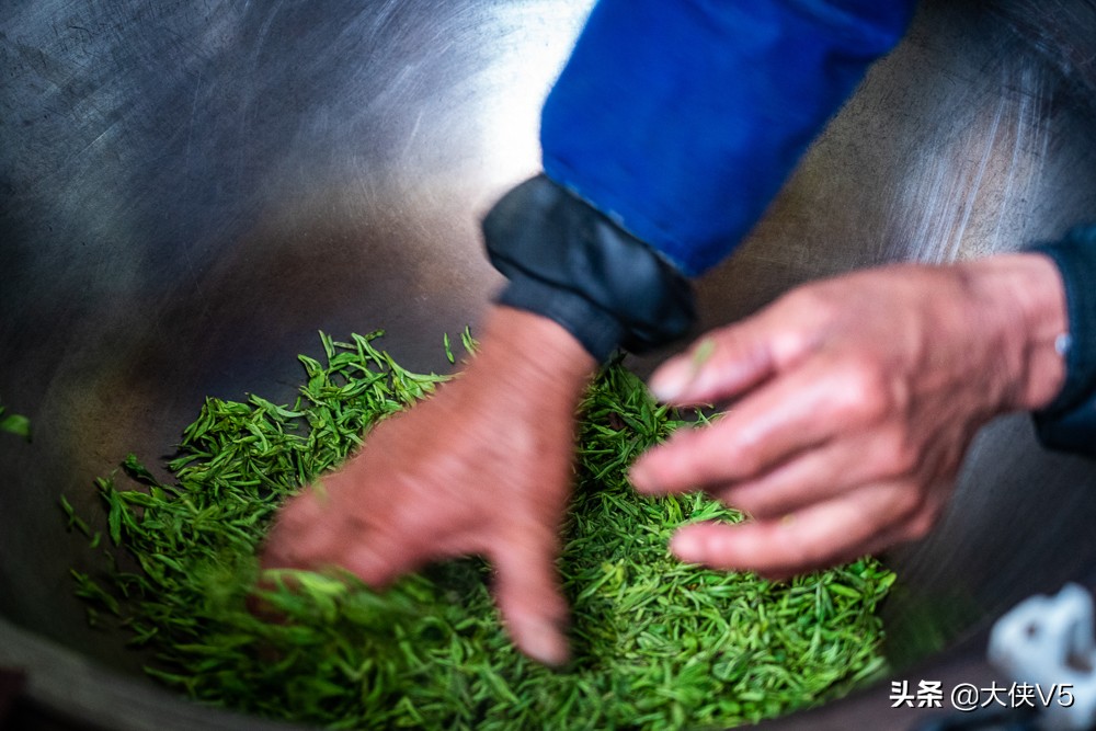 中国西湖龙井名茶最新排名,喝西湖龙井中国第一名茶