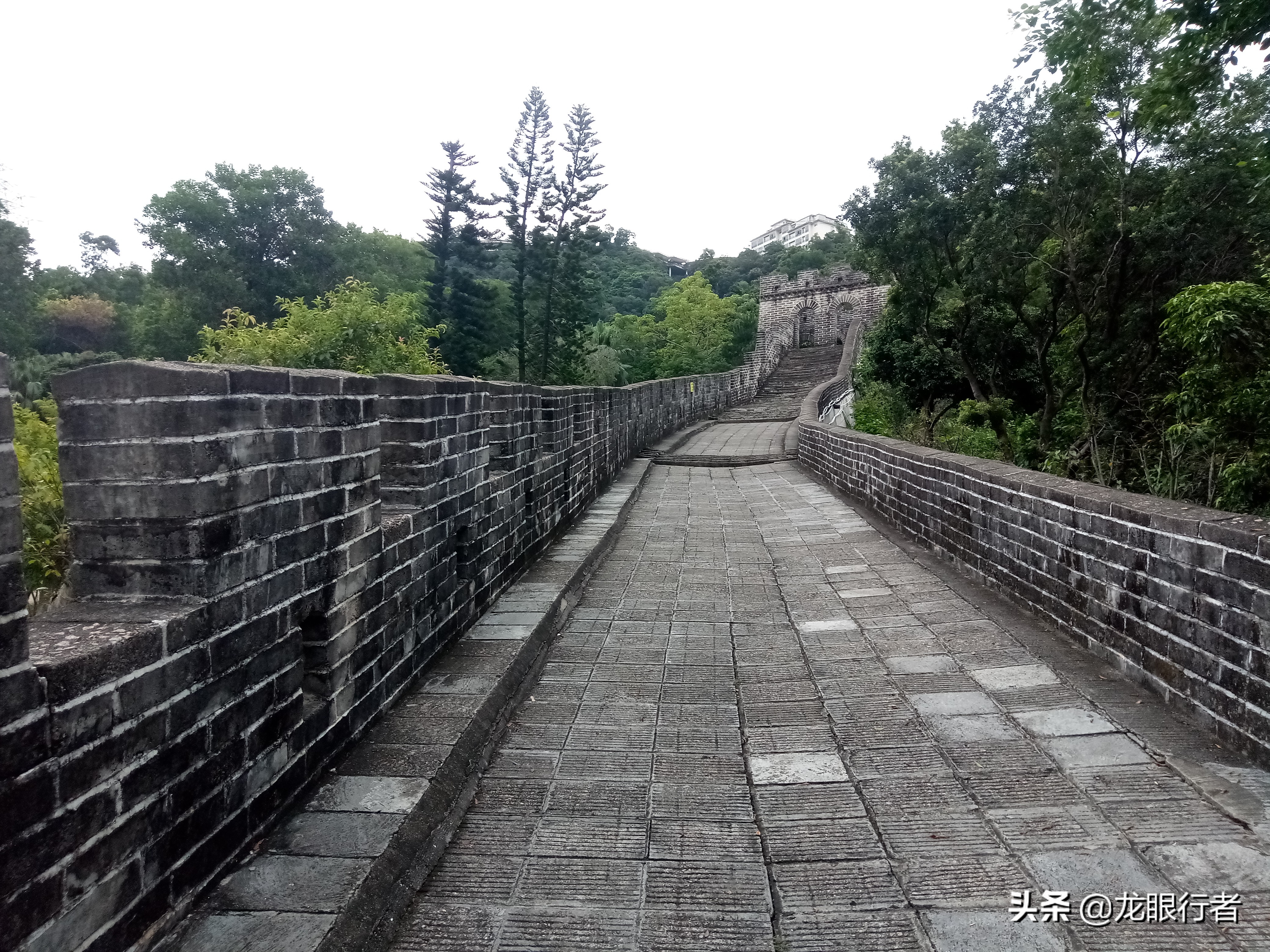 深圳求水山秘境,深圳求水山景区夜景