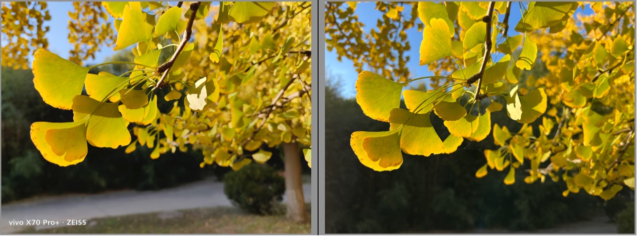 iphone13promax镜头解剖,iphone13pro跟13promax录像对比