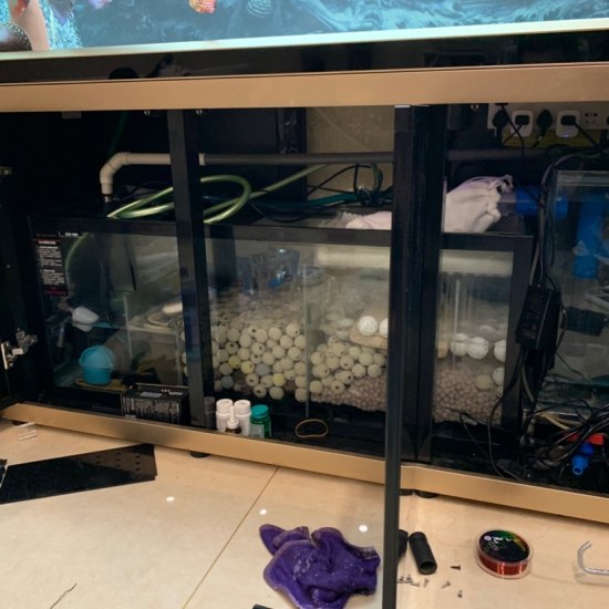 可丽爱鱼缸沉淀仓上放干湿分离盒,可丽爱沉淀仓可以拆吗