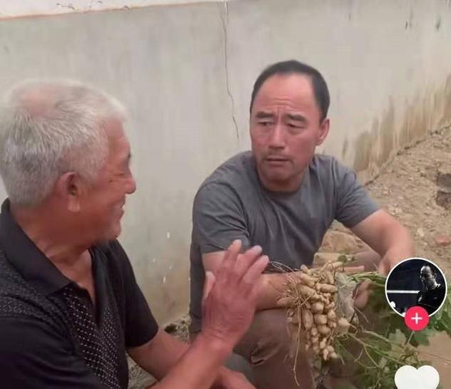 旭日阳刚落魄街头卖唱,旭日阳刚草根歌星组合