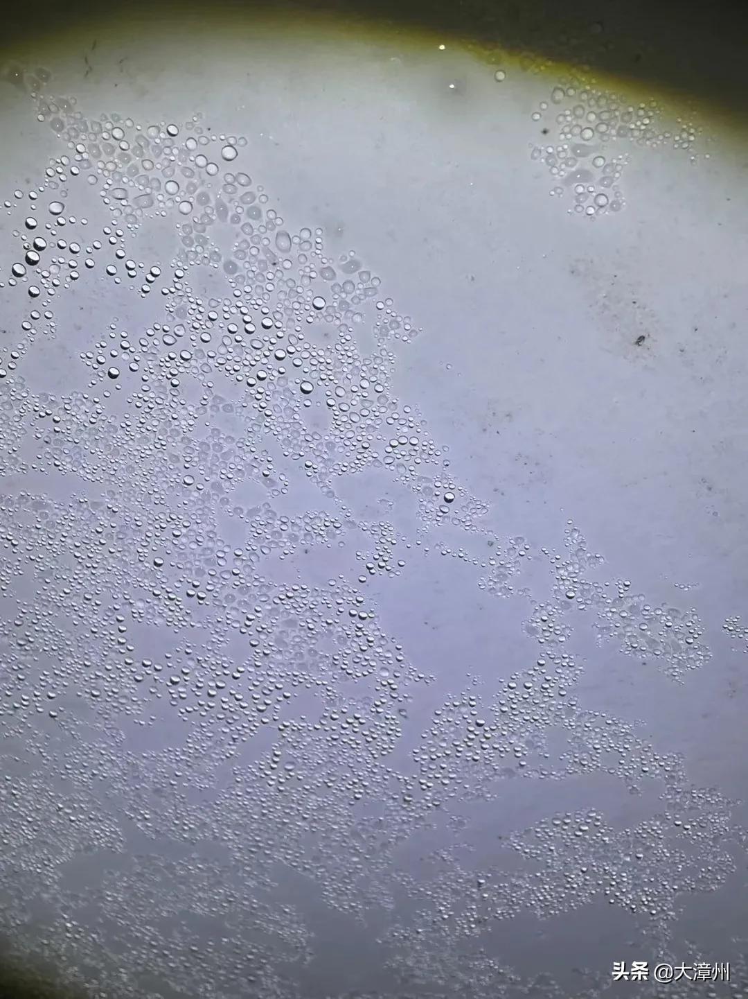 漳州市龙海石码美景,龙海石码全景美景