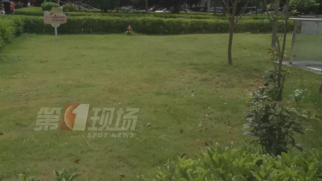 儿童被不明虫子咬了肿一大块止痒,小朋友被虫子咬了的危险视频