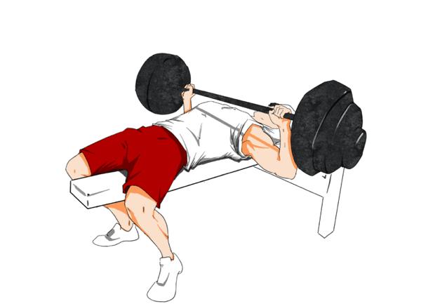 卧推如何避免背部反弓,弓背和平背卧推有什么区别