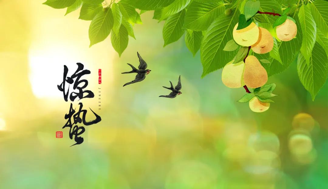 惊蛰节气养生小妙招,惊蛰节气养生小知识大全