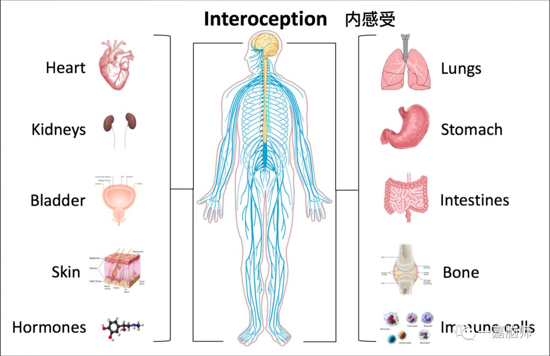 掌握情绪宣泄的简单方法,掌握情绪调节技巧增强自我控制力