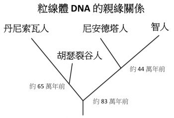 5万年前智人祖先欠下的风流债，竟然要现代人来偿还