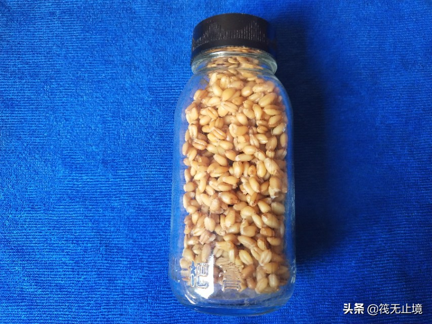 卡麦子过时了吗？解析小矶杆长子线的实际运用