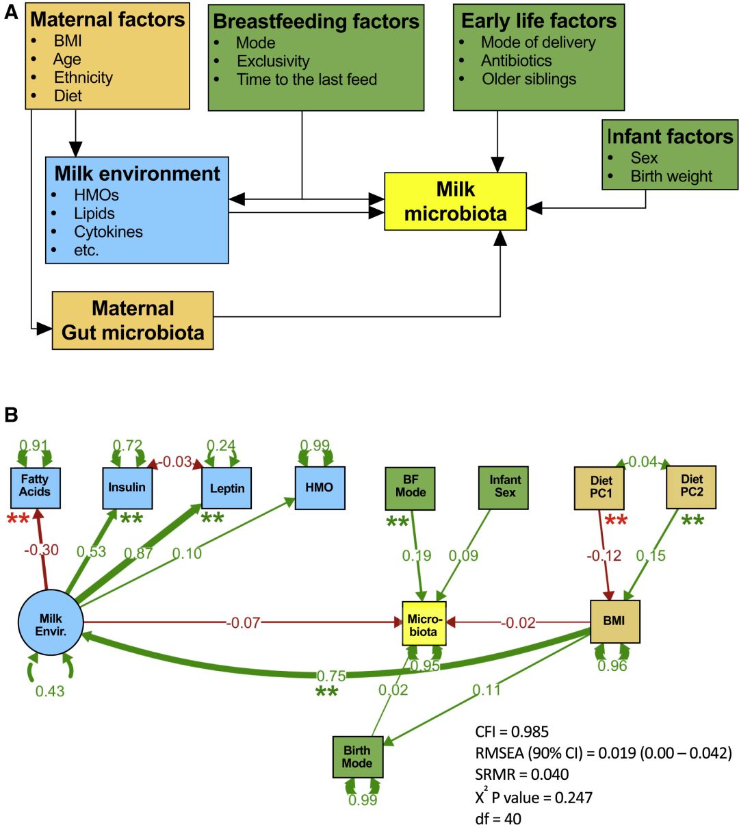 母乳瓶喂营养和亲喂一样吗,母乳里面有一种细菌是孩子缺的