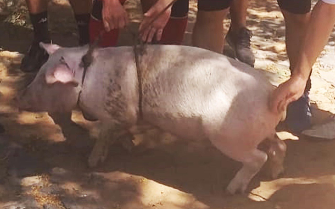 小罗监狱赛进球视频,小罗狱中球赛