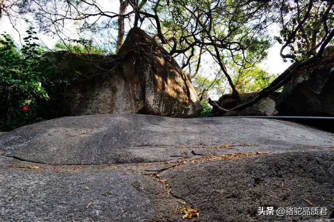 厦门海边之旅,厦门小众旅游体验