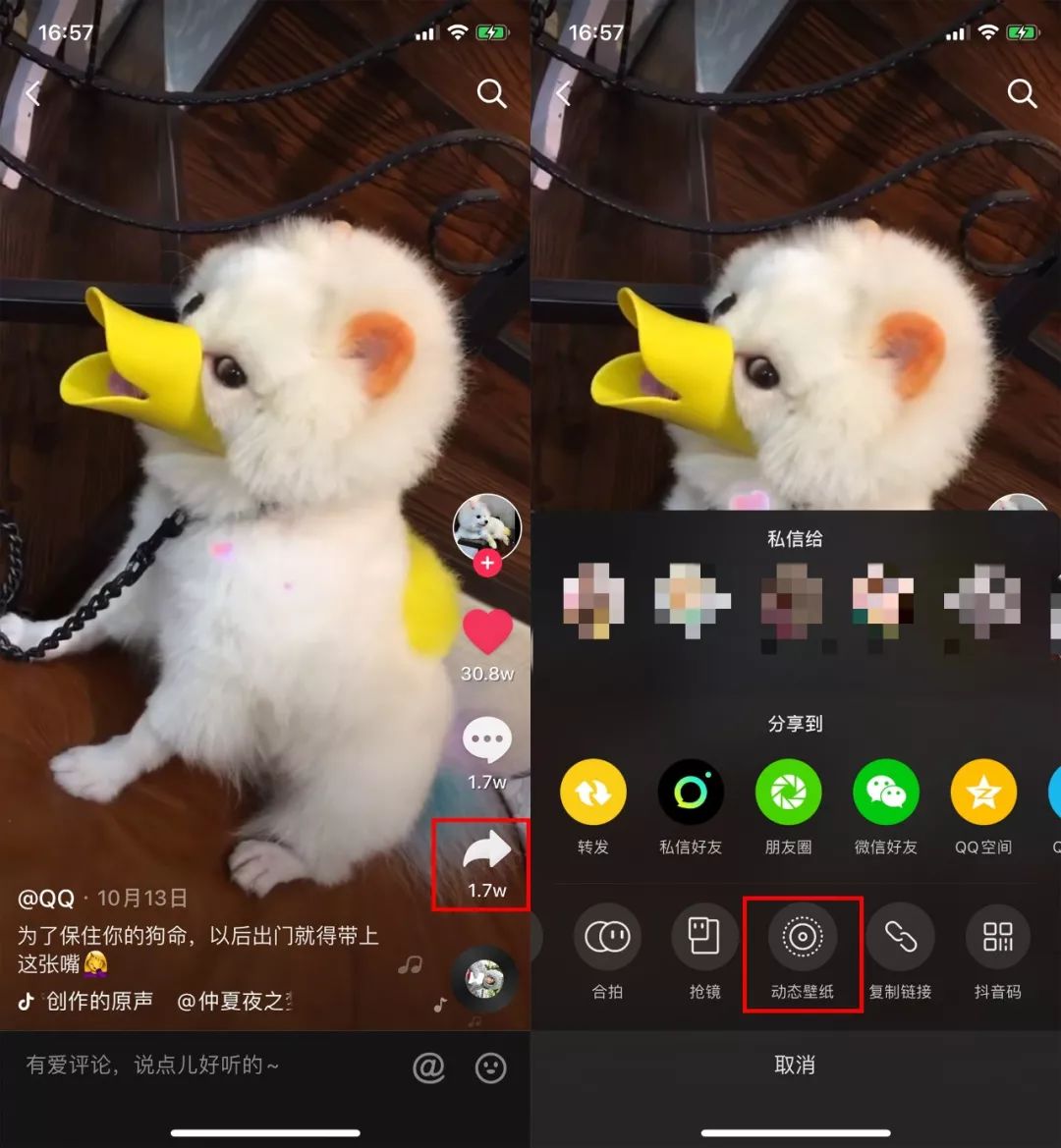 苹果手机怎样设置动态壁纸带声音,用了这么久苹果才发现的手机技巧