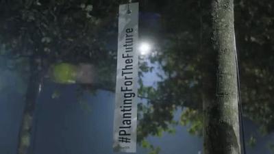 代购了个lv包包,国外代购香奶奶的包包