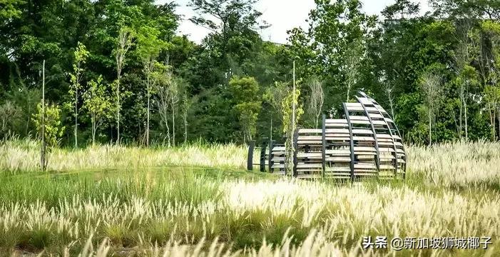 新加坡旅游攻略推荐花园,新加坡花园最新消息