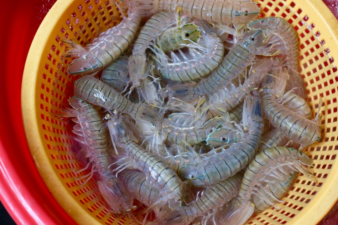 焦虑能去海口旅游吗,觉得焦虑就出来散散心