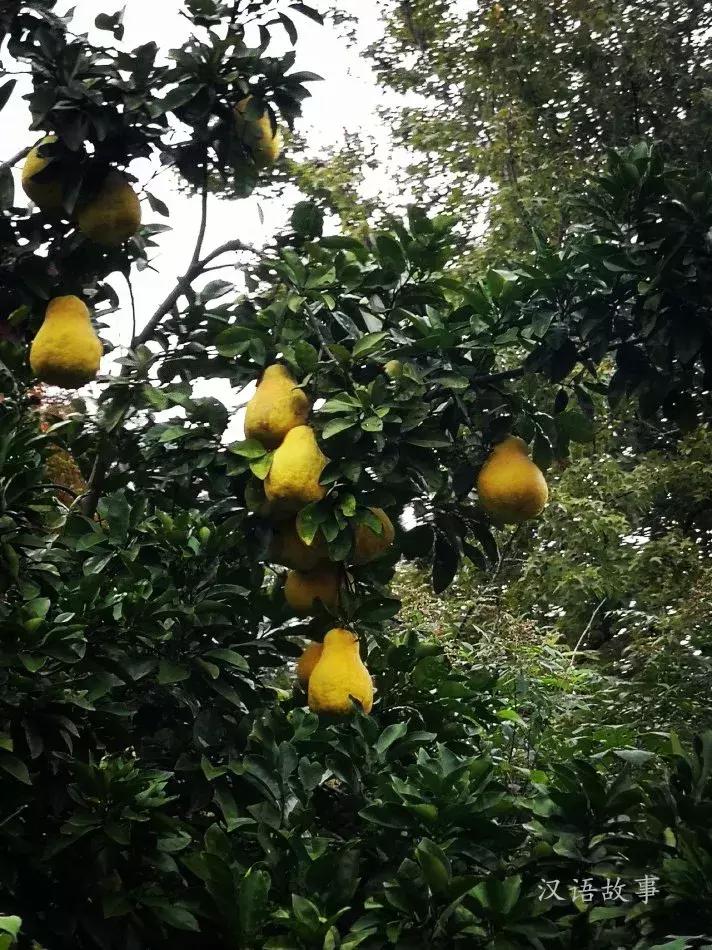 茅洞桥年景节选仿写,湖南省衡阳市茅洞桥