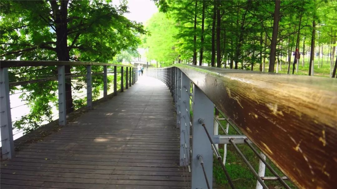 武汉未来10年重点发展哪个片区,武汉未来升值空间最大的片区