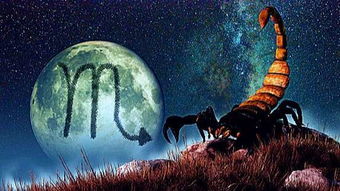 12星座中的天蝎座有什么特点,12星座对天蝎座看法详解