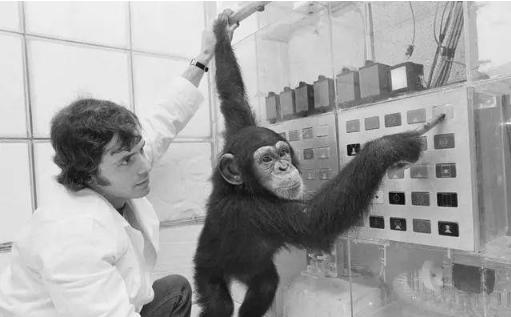 浜虹尶绻佹畺瀹為獙鎴愬姛浜嗗悧,浜虹尶绻佹畺瀹為獙