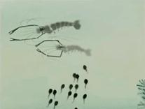 暴露年龄的时候到了小视频,暴露年龄的时候看过的电视剧