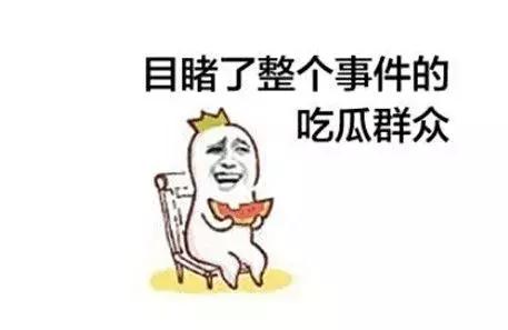 年终吃瓜总结,吃瓜年度总结