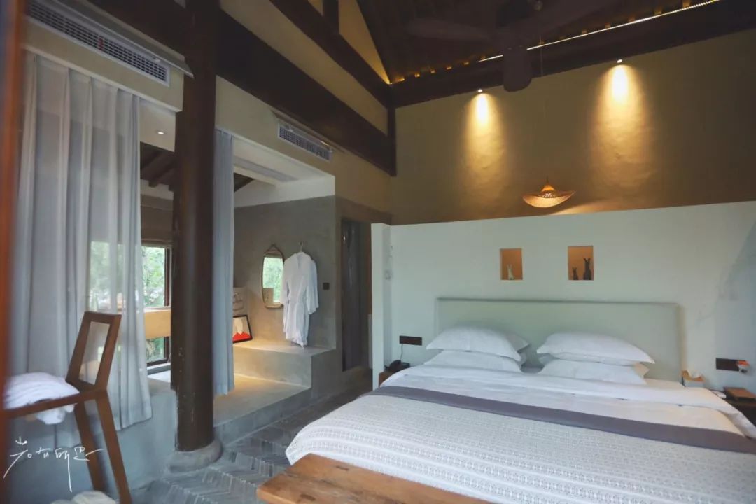 三月赏花一日游上海景点,本月上海赏花一日游最佳去处