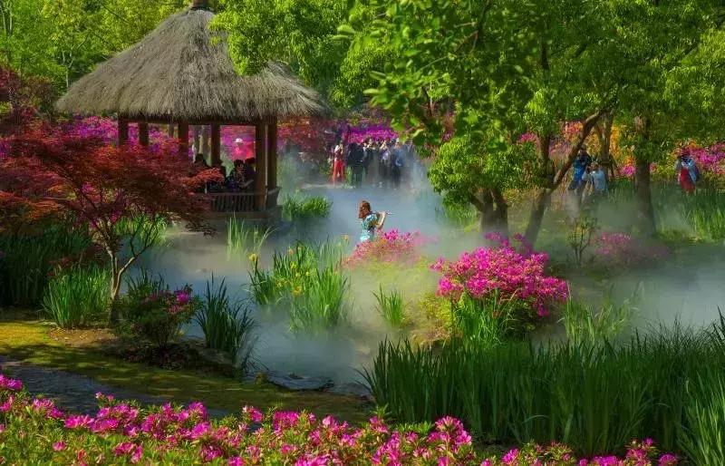 五月份上海有什么新消息,上海4月份有哪些消息