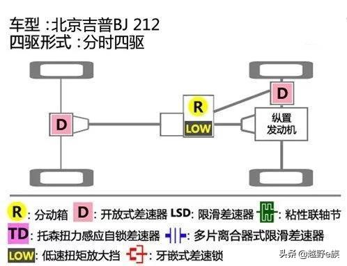 神坛之上完整版,神坛之上完整版免费观看