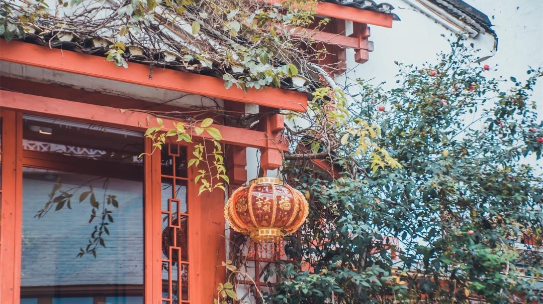 女孩子总想出去旅游,为什么成人总想旅游