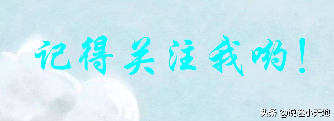 青春最华丽的裙袂，我只喜欢你‖小说《兔子爱吃窝边草》