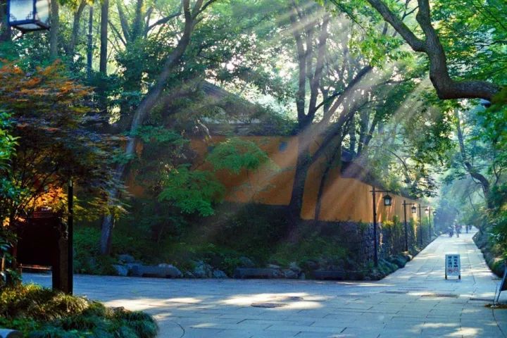 杭州的秋天足够迷人,杭州的秋天特别浪漫