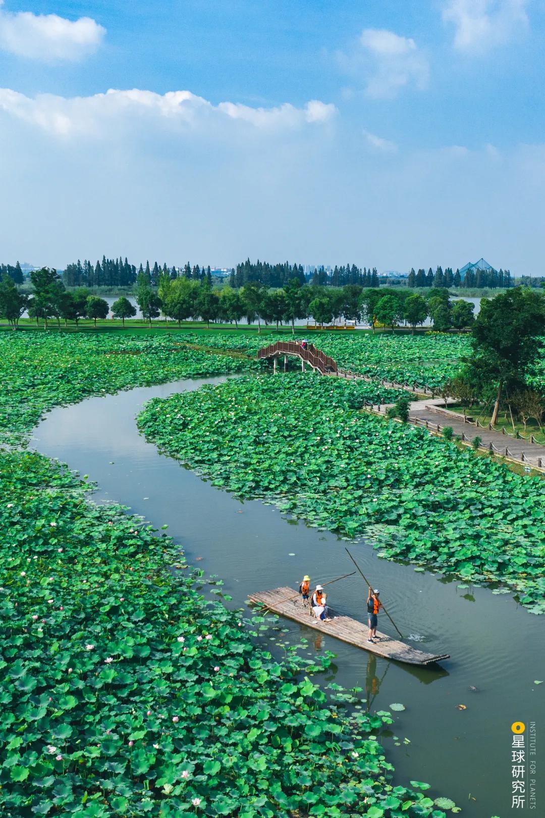 南京高淳区哪个地方好,南京高淳值得去的风景区免费