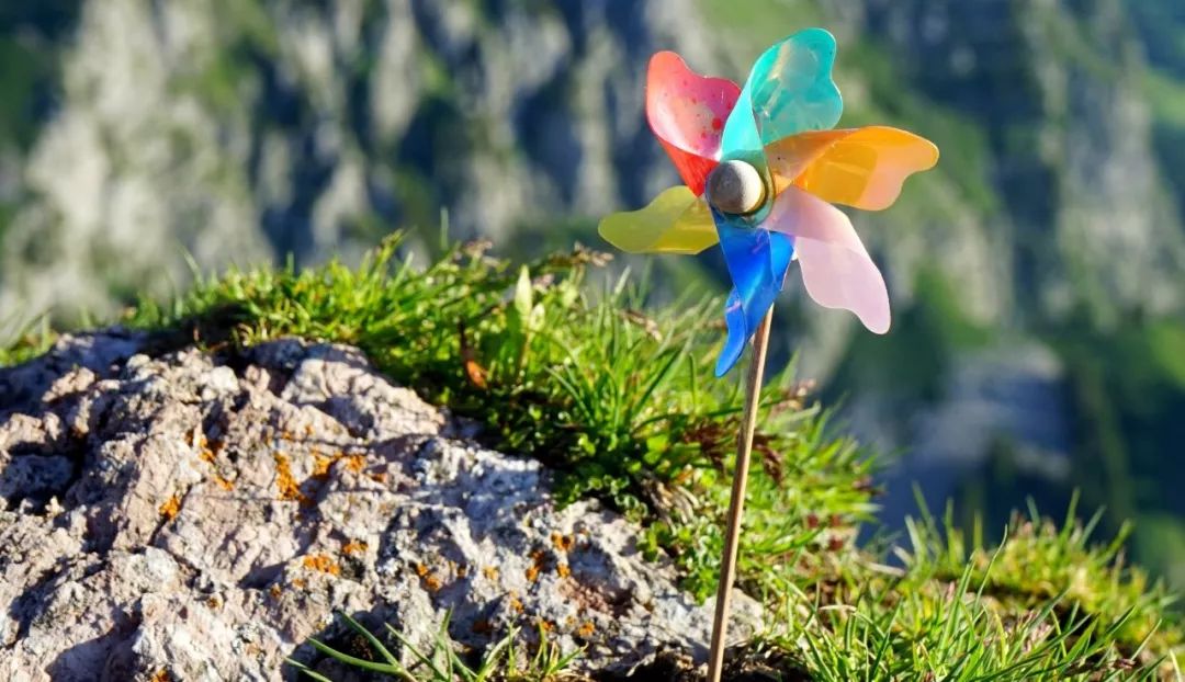 鏈堜寒鏄熷骇鎬庢牱搴斿璐熼潰鎯呯华,鏈堜寒鏄熷骇鎯呯华鐤楁剤