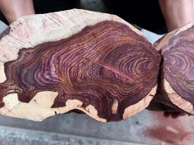 韧性强又轻便的木头做拐杖用,富豪花重金买回来了一根木拐杖