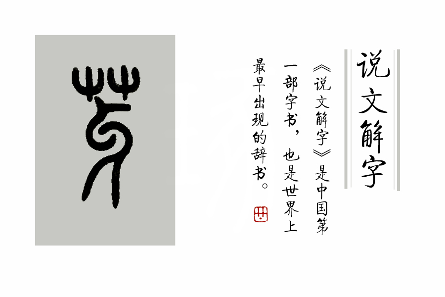 汉字说：“萌”和“芽”的区别是什么？