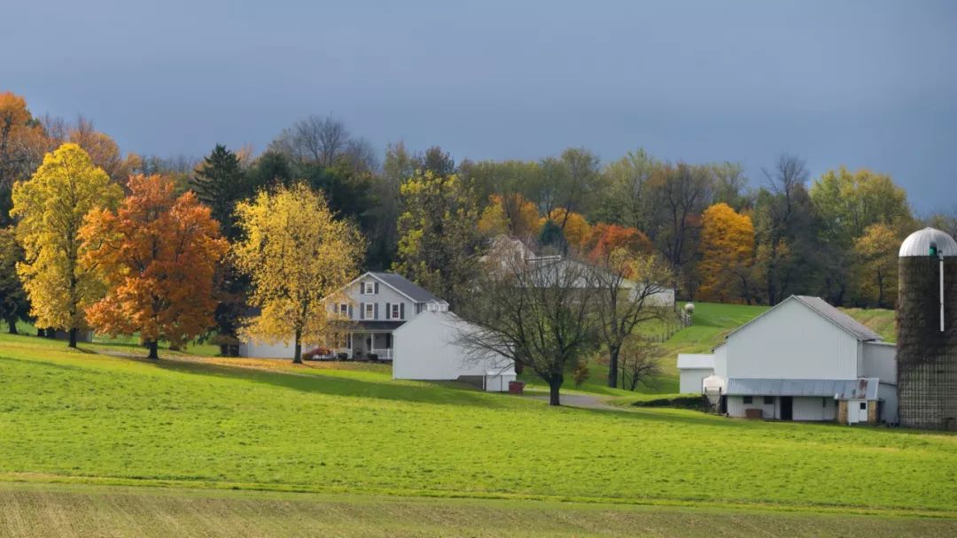 读城解读,读城系列内容