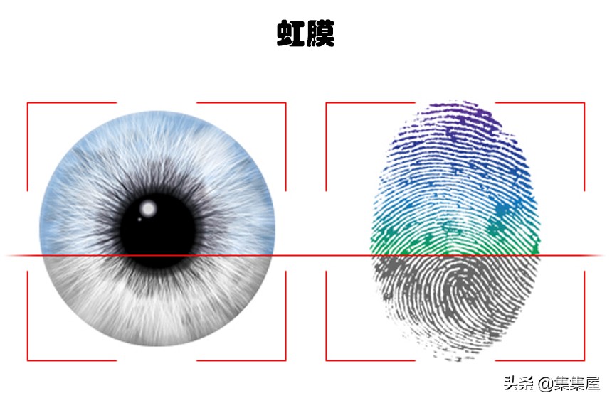 世界上最奇特的指纹,除了指纹还有什么是独一无二的