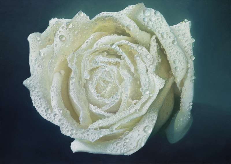 我眼中的龙江画家,龙江好画家宋强简历