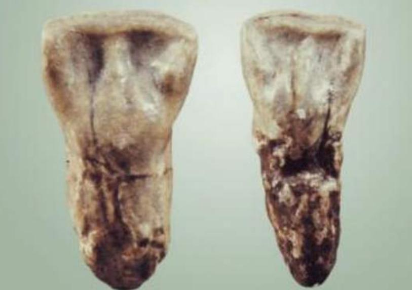 老祖宗留在中国人身上三大印记,炎黄子孙特有的印记