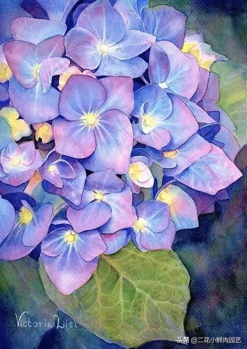 100种花卉绘画,100多张花卉线描手稿素材赶快收藏