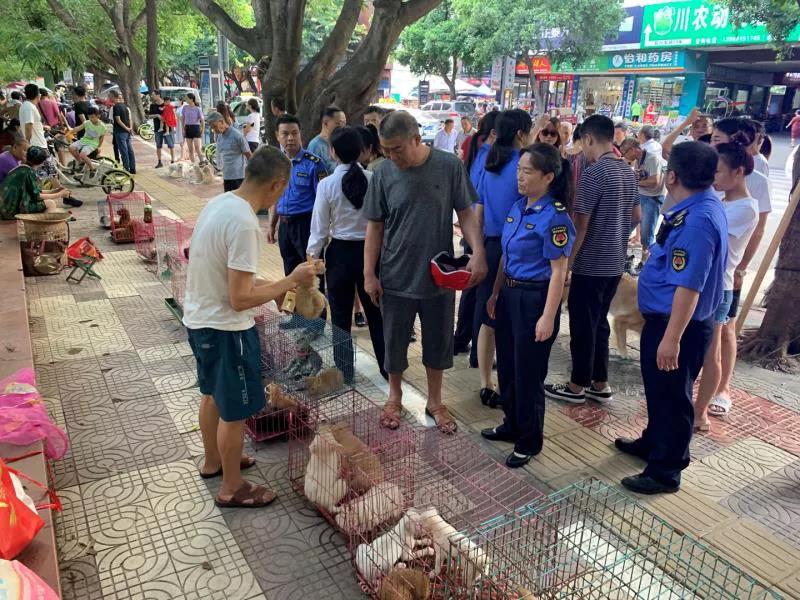 宠物市场搬哪里去了,宜宾宠物市场地址在哪里