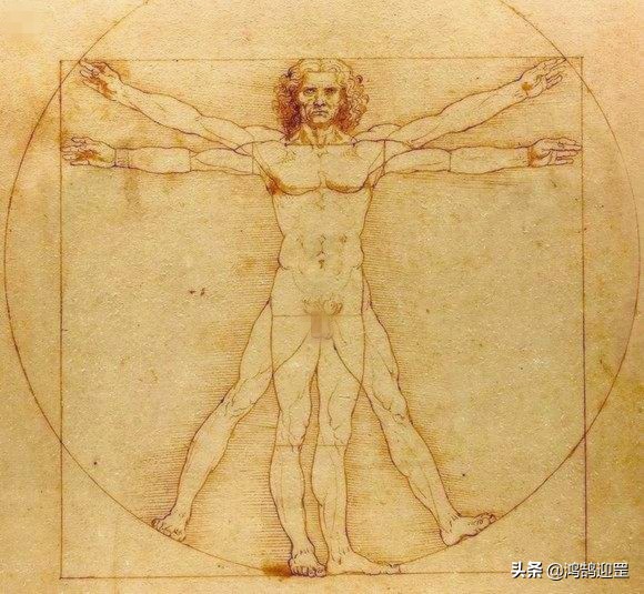 达芬奇对油画有什么贡献,达芬奇一位被严重低估的预言家