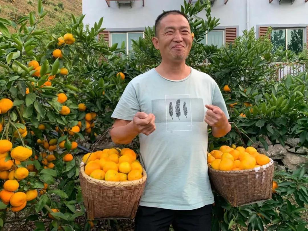 “blingbling”,黄得可爱的橘子可以从8月摘到来年2月!淳安中联村:临湖民宿处女地,甜甜蜜蜜看湖景