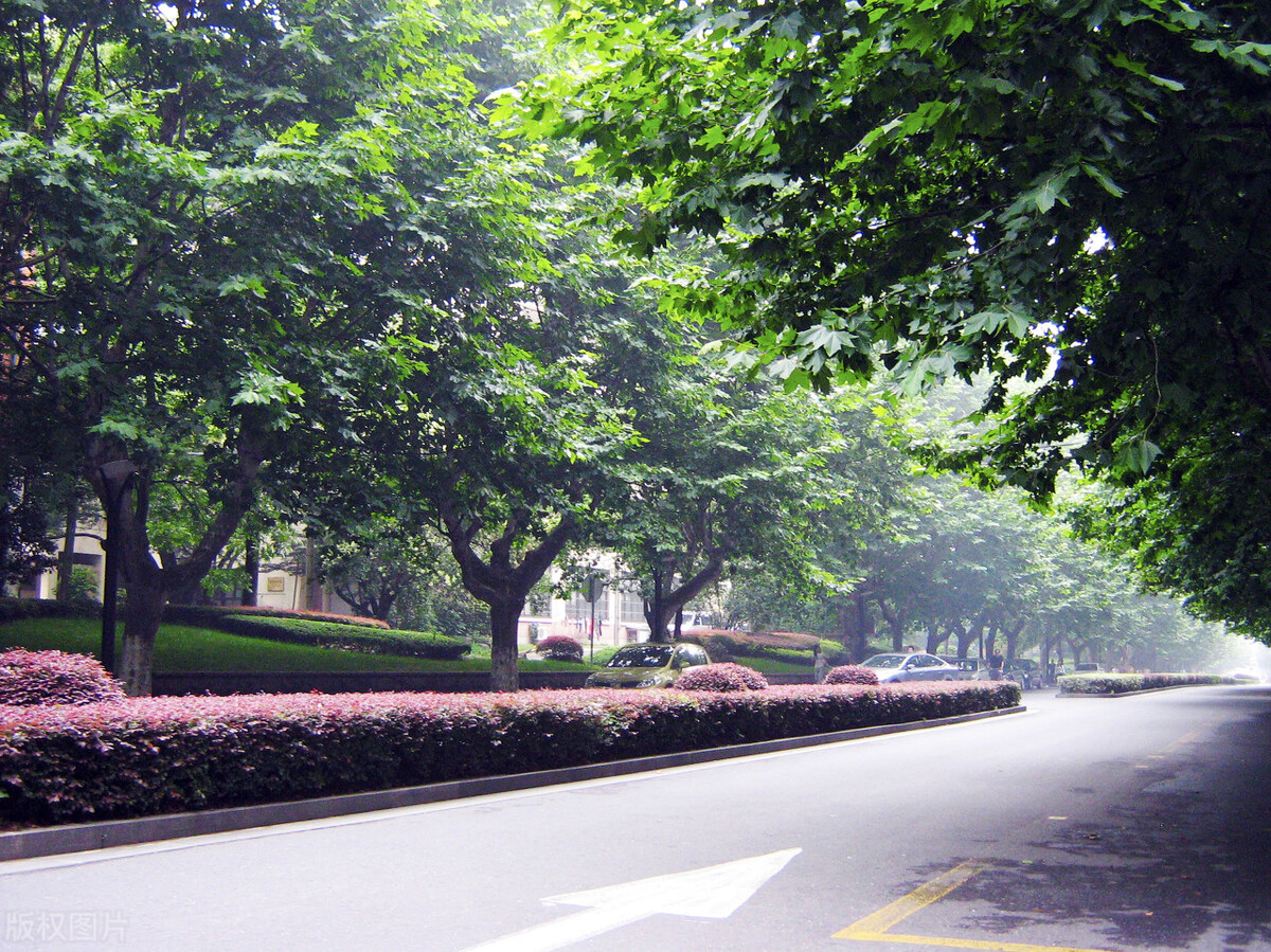 杭州免费的旅游景点攻略,杭州旅游攻略必去免费景点大全