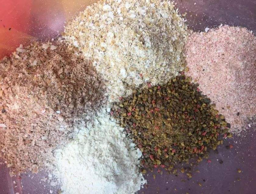 窝里有鱼不开口视频,窝里有鱼泡为什么没口