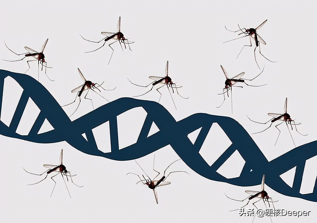 中国海关截获美国神秘包裹,美国包裹发现黑蝇