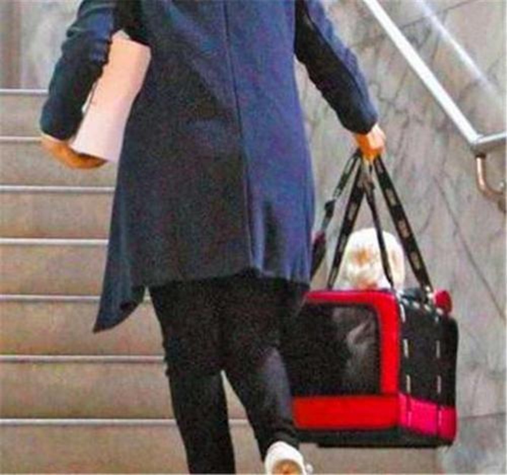 缓解产前宫缩疼痛的八种方法,如何缓解产前宫缩的疼痛感