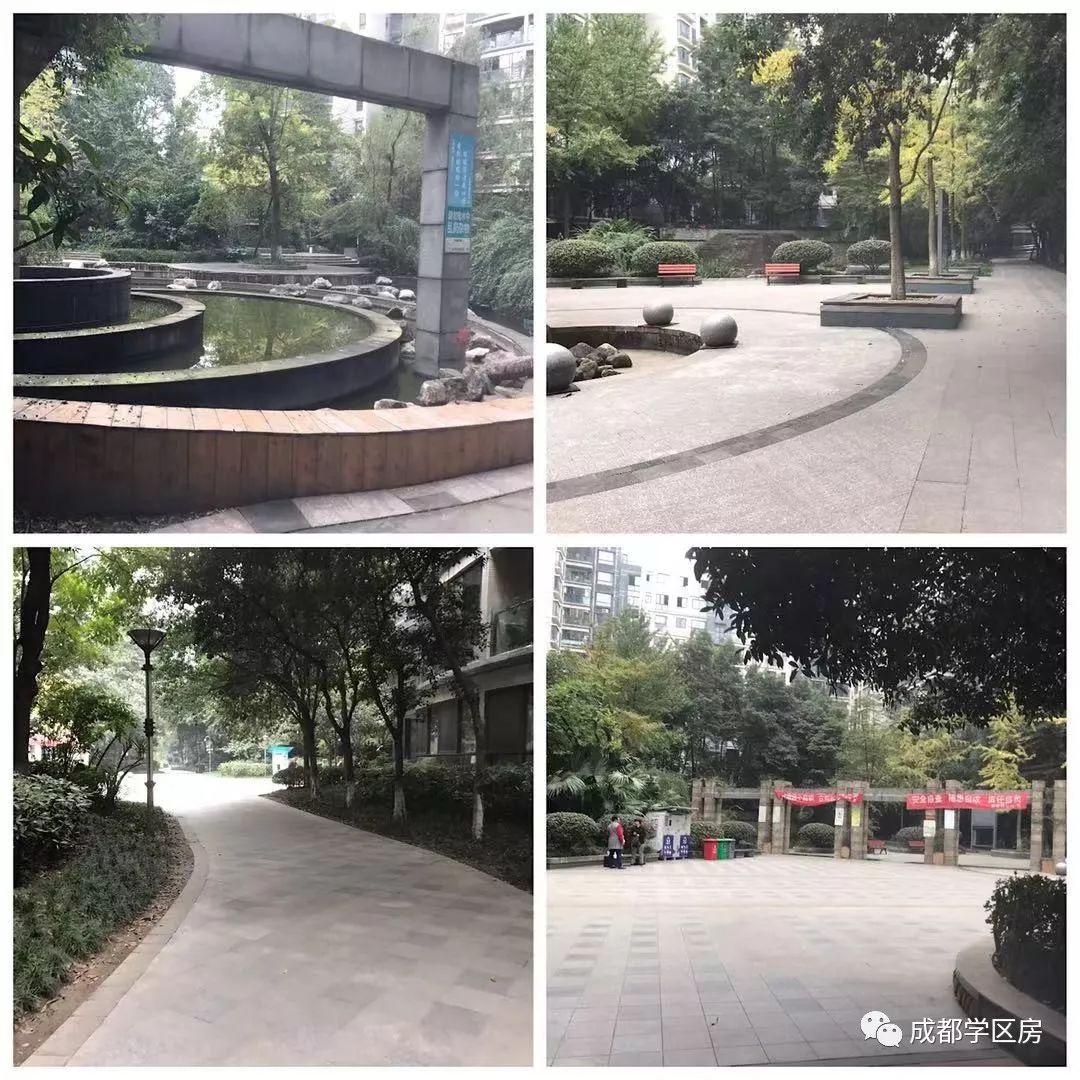 和泡小非常像的一个分校之最全盘点！​